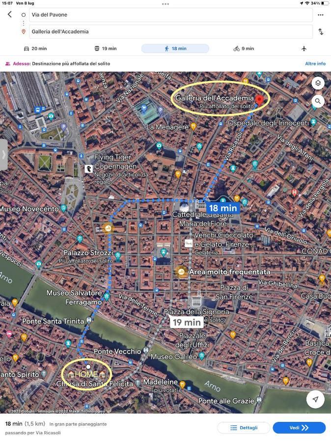 Uffizi & Santo Spirito Family/Groups Apartment Florencja Zewnętrze zdjęcie