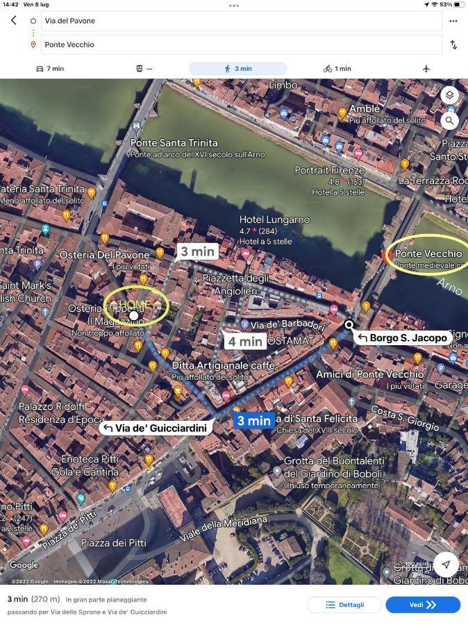 Uffizi & Santo Spirito Family/Groups Apartment Florencja Zewnętrze zdjęcie
