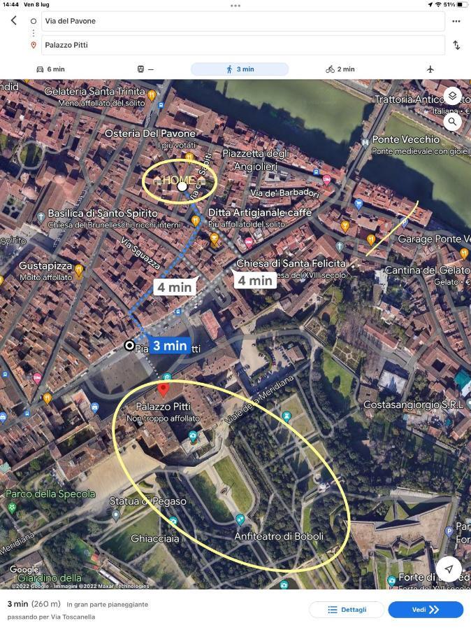 Uffizi & Santo Spirito Family/Groups Apartment Florencja Zewnętrze zdjęcie